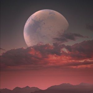 Meet your Posher, Karan